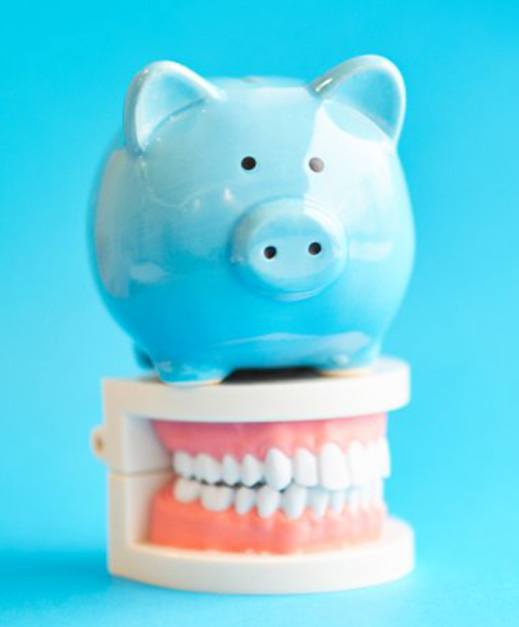 A blue piggy bank sitting on top of a dental model 