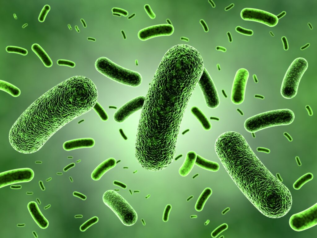 Illustration of green germs